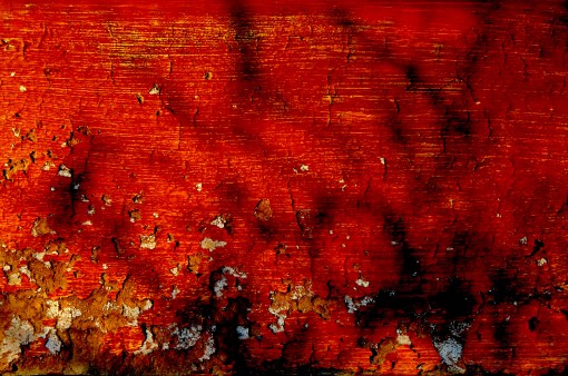 Most of the time I photograph people but, on occasion I get to explore the abstract. I loved the texture of the sun-bleached paint on this wood.