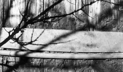 More from by study of light and texture.